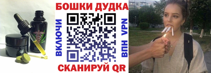 Купить где  Берёзовка  Canna-Cookies конопля 