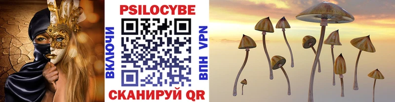 Купить  Берёзовка  Галлюциногенные грибы Cubensis 